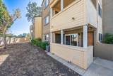 5037 Los Morros Way - Photo 19
