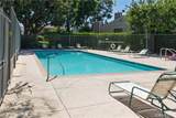 3176 Palm - Photo 31