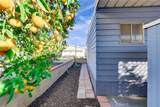 3945 Bradford Street - Photo 36