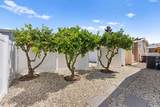 3473 Don Ortega Drive - Photo 35
