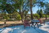 35205 Calle Nopal - Photo 38