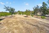 35205 Calle Nopal - Photo 42