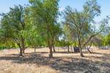35205 Calle Nopal - Photo 44