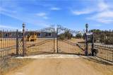11124 Medlow - Photo 39