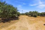11124 Medlow - Photo 49