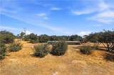 11124 Medlow - Photo 50