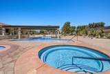 15300 Palm Drive - Photo 36
