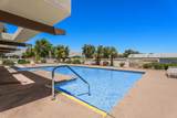 15300 Palm Drive - Photo 38