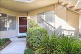 9 Hillrose - Photo 30