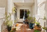 2520 Navarra Dr - Photo 4