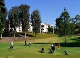 2354 Via Mariposa - Photo 48
