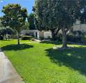 352 Avenida Sevilla - Photo 15