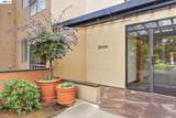 39109 Guardino Drive - Photo 32