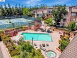 39109 Guardino Drive - Photo 34