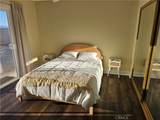 66823 Verbena - Photo 23