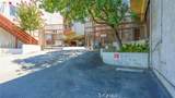 1523 Windsor - Photo 45