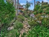 3635 Serra Road - Photo 51