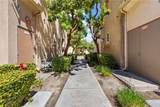 31186 Lavender Court - Photo 21
