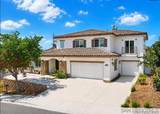 1675 Felicita Ln - Photo 1