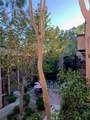 22100 Burbank Blvd - Photo 5