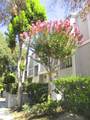 965 Del Mar Boulevard - Photo 2