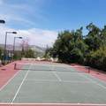 31005 Lexington Way - Photo 24