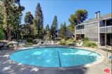 25545 Pine Creek Lane - Photo 21