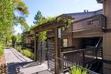 3325 Brittan Avenue - Photo 48