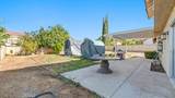 24706 Wild Calla - Photo 22