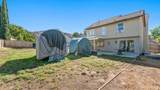 24706 Wild Calla - Photo 24