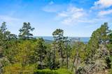 250 Forest Ridge Road - Photo 27