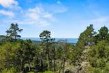 250 Forest Ridge Road - Photo 39