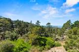 250 Forest Ridge Road - Photo 40