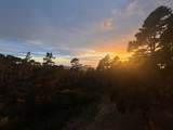 250 Forest Ridge Road - Photo 44