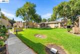 9025 Alcosta Blvd - Photo 32