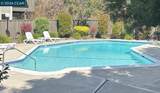 34 Massolo Dr - Photo 37