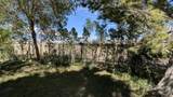 2504 Whitewater Club Drive - Photo 30