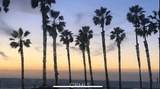 900 Pacific Coast - Photo 2