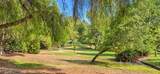 23294 Copante - Photo 55