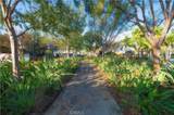 6081 Eucalyptus - Photo 67