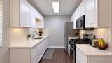 9727 Winter Gardens - Photo 11