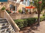 480 Civic Dr - Photo 22