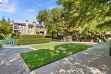 39199 Guardino Dr - Photo 30