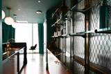 401 Harrison Street - Photo 77