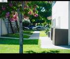 2101 Lemontree Way - Photo 4