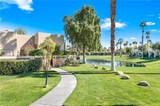 29086 Desert Princess Drive - Photo 50