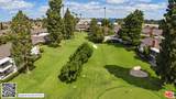 22929 Nadine Circle - Photo 48