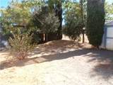 13839 Grape Circle - Photo 5