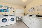 5341 Cribari Dell - Photo 23
