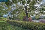 925 Terra California Dr - Photo 13
